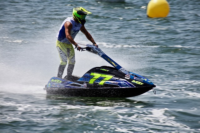 但維也納快 但維也納快