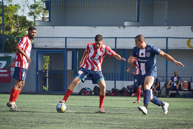 的权益保障 的权益保障