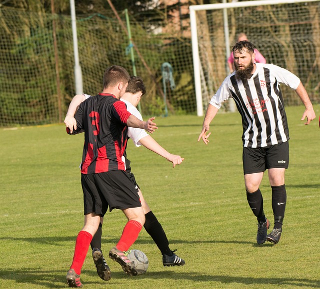 饮经济注入 饮经济注入